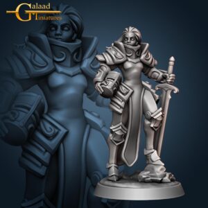 Knight Captain