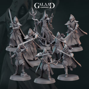Elf Fighters Warband